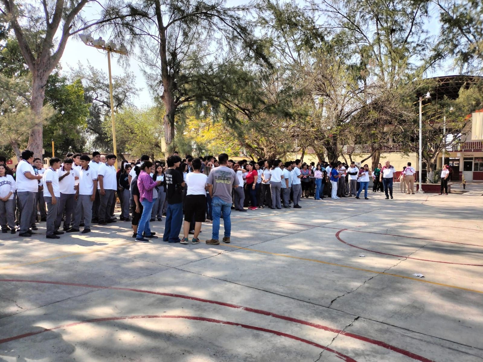 Imagen 2