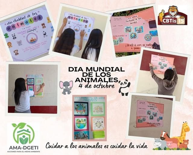 PROGRAMA AMA DGETI. Cuidado de las mascotas y de los animales en general.